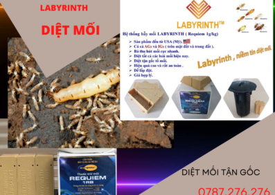 Labyrinth Diệt Mối