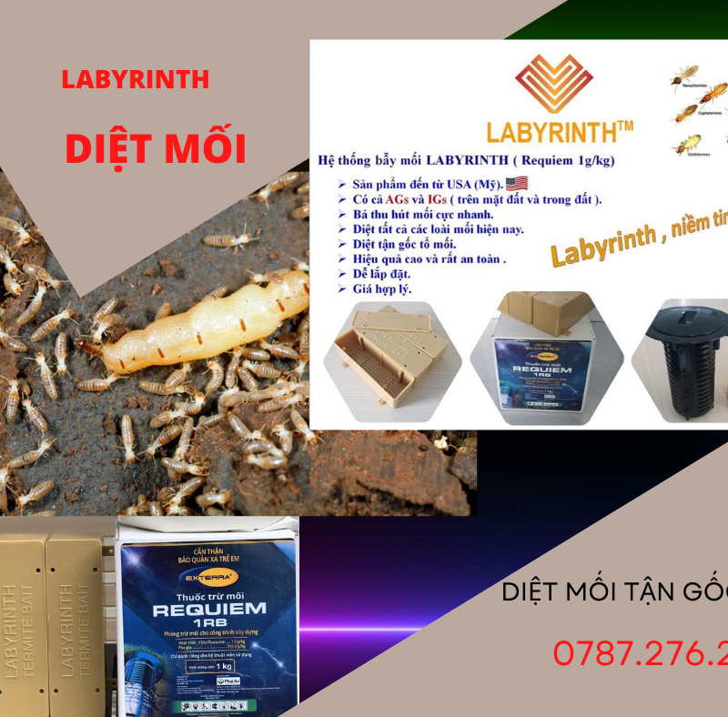 Labyrinth Diệt Mối