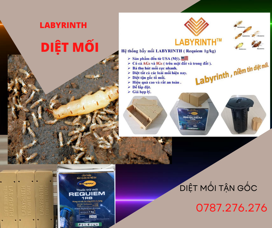 Labyrinth Diệt Mối