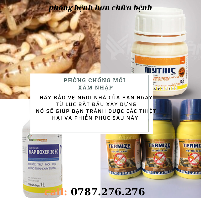 Phòng chống mối xâm nhập