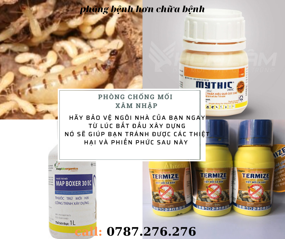 Phòng chống mối xâm nhập